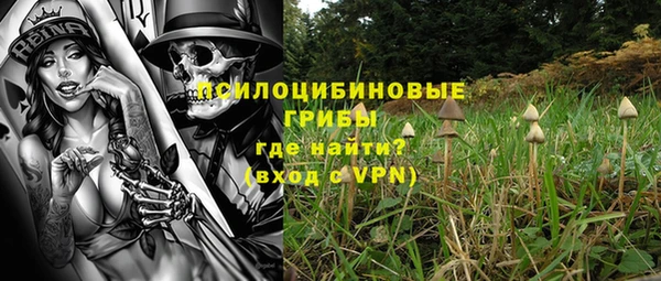 прущие крисы Армянск