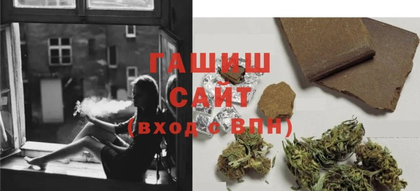 сатива Балахна