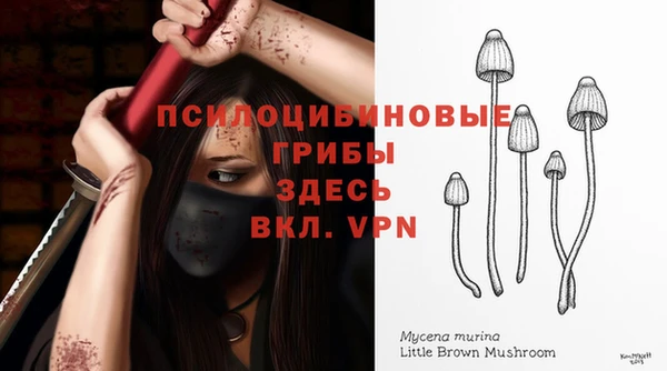 прущие крисы Армянск