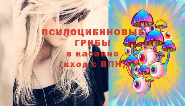 винт Арсеньев