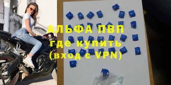 сатива Балахна