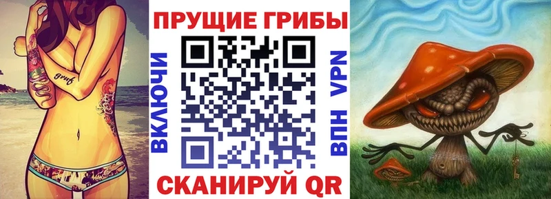ОМГ ОМГ tor  Новоалександровск  Галлюциногенные грибы мухоморы 